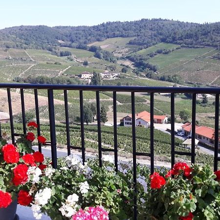 Hotel Domaine Du Coteau Des Lys Fleurie Zewnętrze zdjęcie
