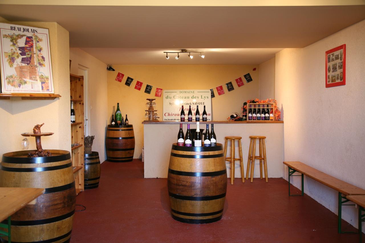 Hotel Domaine Du Coteau Des Lys Fleurie Zewnętrze zdjęcie