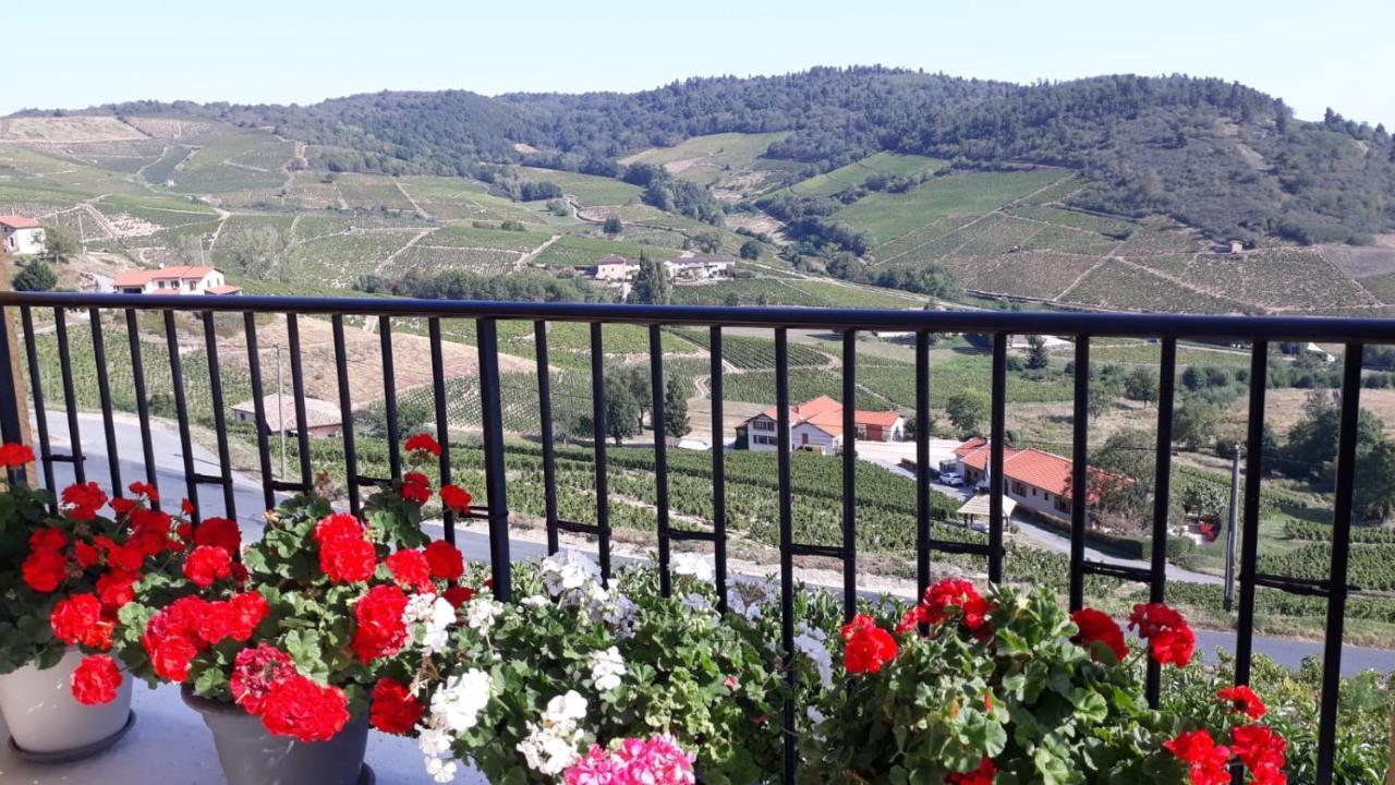 Hotel Domaine Du Coteau Des Lys Fleurie Zewnętrze zdjęcie